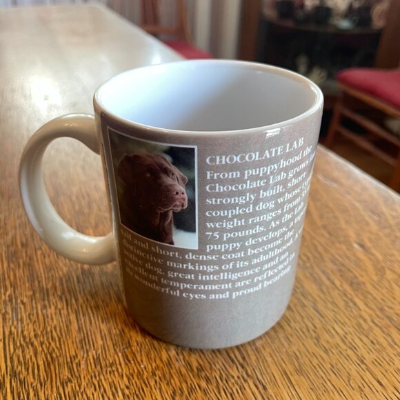 Chocolate Lab Coffee Cup Mug made in Thailand for Xpres Corp - Picture 3 of 5